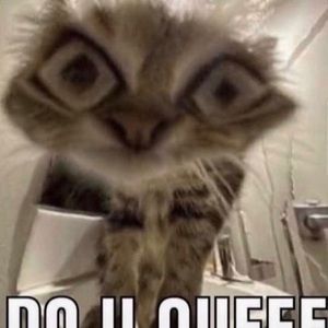 Meet your Posher, Kody